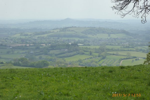 Glastonbury Tor from Cooks Fields (Jim Reeves)