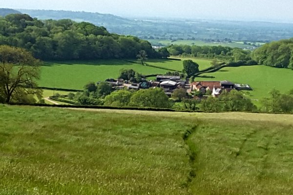 Model Farm, Wookey Hole (Paul Cannon)