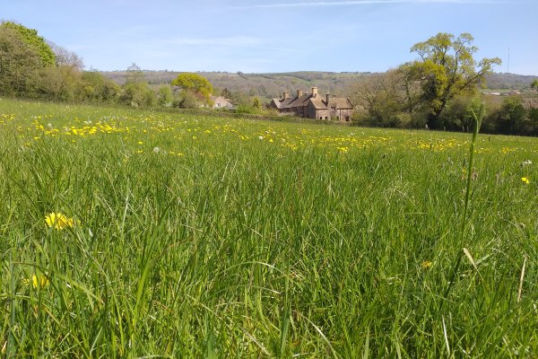 Deer Leap and the Mendip Hills (Ed Danson)