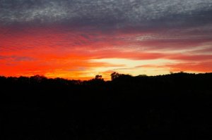 Photo of a rural Somerset sunset