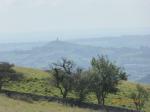 Image: A panorama from height, across the levels and to Glastonbury Tor with 2 gnarly old trees in foreground