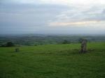 Image: two ancient stones nestling in a field high up on the Mendips looking over the Levels