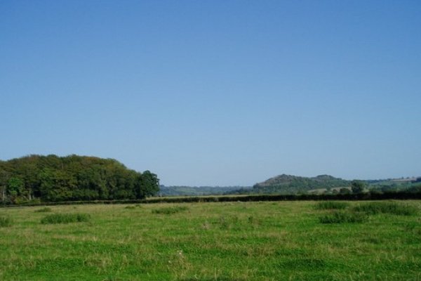 Green fields and cornflower blue skies, with a round-topped Park Wood to the left