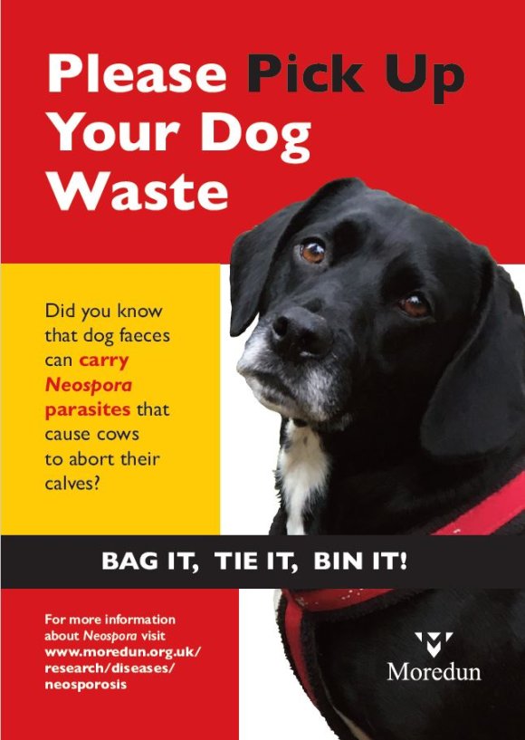 poster shows a black labrador and information about the hazards to livestock from dog waste