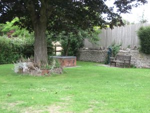 A picture of The Green, with two small trees, a bench and an area of grass