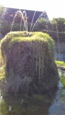 Situated in a triangle, the fountain is moss covered and sprays a three-way fountain upwards and it falls into the pond