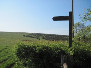 A broad open hilltop with wooden Bridleway sign directing to Pen Hill