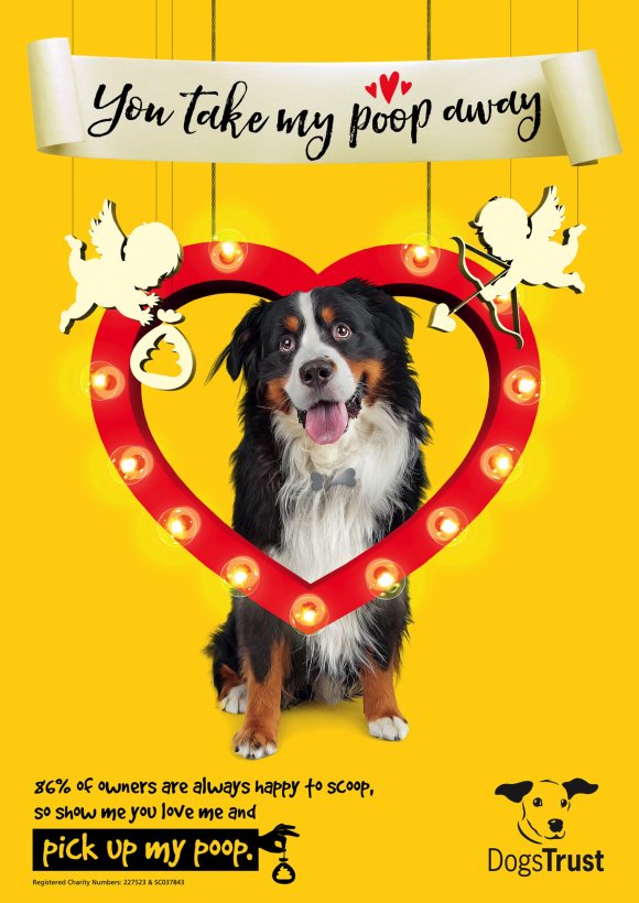 A collie dog with a heart-shaped frame around its face and the message, 'You take my poop away'